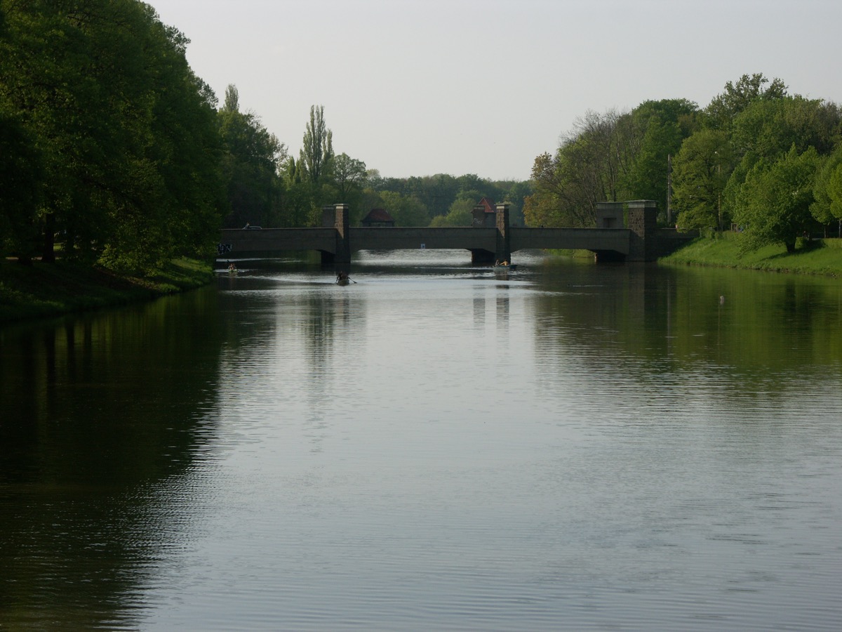 Zwergendschungel an der Sachsenbrücke